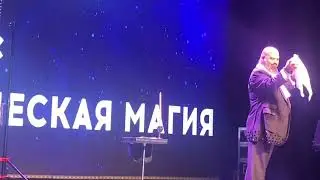 РИФ 2024/Российский иллюзионный форум