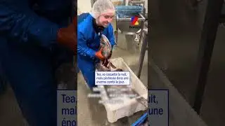 So coquette le jour, so tenue de mécano la nuit (ou inversement).