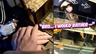 SchrodingerLee Holds Mira's Hand then Gets Rejected Instantly