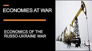 Two Economies at war - Russia and Ukraine after 100 days of sanctions and shelling