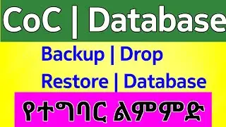 DBMS |backup Drop and Restore SQL Server DB |ድንቅ ልጆች seifu on ebs #dink_lijoch|Video5