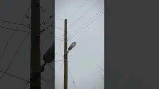 Красивое стихотворение про Сибирскую весну. Стихи Светланы Поповой