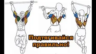 Правильная техника подтягиваний КАК ЭТО? Хочу подтягиваться на максимум