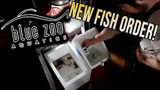 Unboxing NEW FISH AND INVERTEBRATES for my Reef Tank!