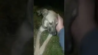 Очередное приятное знакомство.
