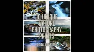 Photography Prints Digital Download-Nature Prints Digital Download
