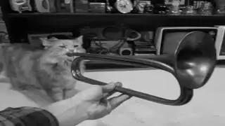Trumpet Cat Joins the Continuation War