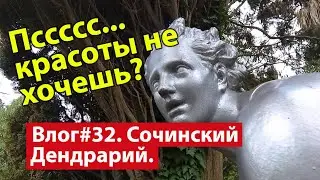 Влог #32. Сочи. Смотровая площадка на город в Дендрарии с высоты 160 метров.