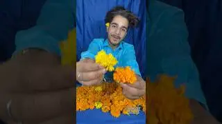 🙈Hum Sab Bolege Happy Birthday To You..😍🫶🏻 #krishna #krishnastatus #janmashtami #radhekrishna