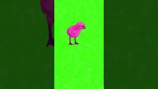 copyright 
