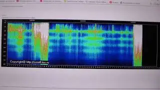 7. 08. 24 г. РАдость светлячкам, баланса внутренней вибрации с внешней всем.