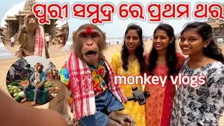 Mora First AI monkey Vlog !! ପୁରୀ ସମୁଦ୍ର କୂଳରେ ପ୍ରଥମ ଥର Monkey Vlog