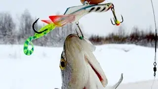 Самый простой и быстрый способ почистить окуня аккуратно и без грязи.