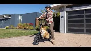 Gyroor C1s Foldable Electric Scooter with Large Middle Basket for Pets & Cargo, 550W Motor 18.6 MPH