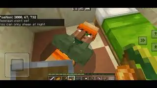 Minecraft  crazy villager sleeping on the ground