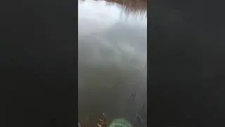 Зимняя рыбалка 2021
