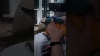 Маргоша)))