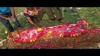 உலகையே அச்சுறுத்திக் கொண்டிருக்கும் இந்தக் கொரனா காலகட்டத்தில் மனதை நெகிழச் செய்யும் மற்றும் ஒரு