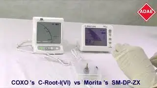 COXO C root VI apex locator with pulp tester