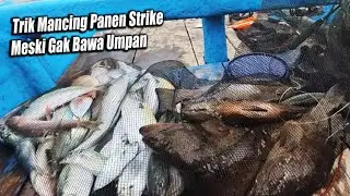 2 Tahapan Mancing Yang Bikin Sukses Mancing Di laut