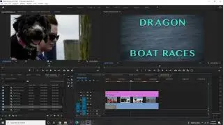 Adobe Premiere Pro Chapter 8.4 Performing a synchronized replace edit