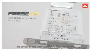 Reese Synth (VST-AU-AAX) - Analog Signature Synth Plugin - Producersources.com
