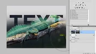 Adobe Photoshop  Clipping Masks VS Layer Masks