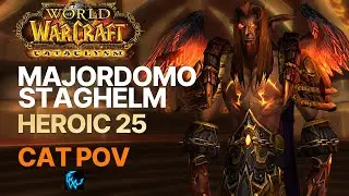 Majordomo Staghelm Heroic 25 - Solo Tank | Cata Classic Firelands PTR | Feral Druid POV