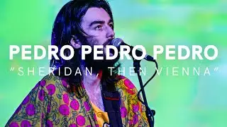 Pedro Pedro Pedro - 'Sheridan, Then Vienna' (Art School Live)