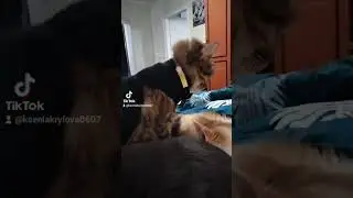 9 февраля 2024 г.