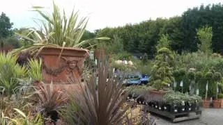 Redfields Garden Centre