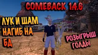 Пара лучник и шаман на БД comeback pw 1.4.6