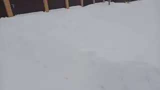 Субару погода продолжение доброго утра 😁