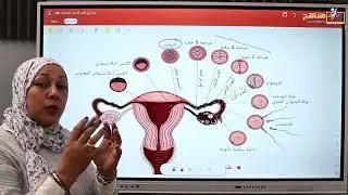 مراجعة على بعض النقاط الهامة فى تكوين الجنين ٣ث