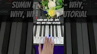 SUMIN and Slom - WHY, WHY, WHY Piano Tutorial #notpianika #notangka #pianotutorial #sumin