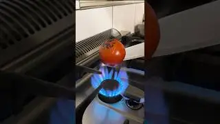 KnastLasagne von Don Ändbozz🤯