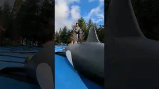 Toddlers going up with father | Crossroads Park Seattle, WA 