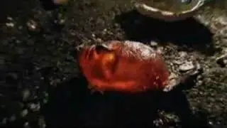 Lava sculpture