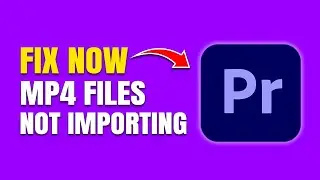 Premiere Pro Not Importing MP4 Files (Easy Fix for Import Errors)