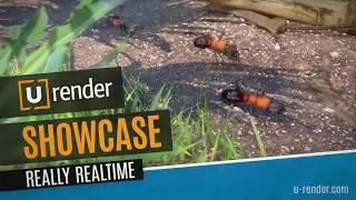 Realtime Animation Layout -  U-RENDER Showcase