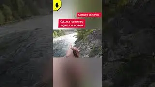 Рыбалка в горах на хариуса 