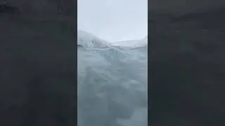 1 августа 2024 г.