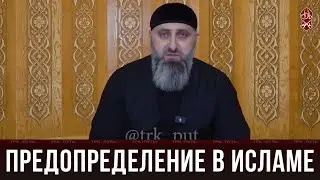 Предопределение в Исламе | «Познай свою религию»
