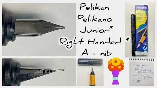 Unboxing and Review - Pelikan Pelikano Junior - Right-handed - A - category nib