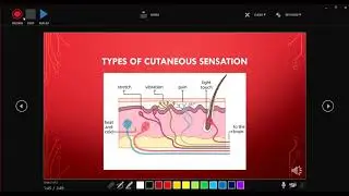 Covid-2019 Asynchronous Learning Tutorial