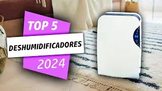 ¡Los Mejores DESHUMIFICADORES del 2024! 🏆