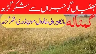 Bhattian Gujran, Ghamtala Sy Shakargarh // Manaka,Barowali, Khanowal,Motapandori,Antowali Cannt
