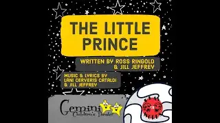 18 The Little Prince