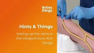 Hints & Things: Vein Set Up for the Venipuncture Arm Range