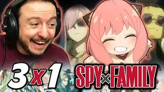 Anya is Back! Scruffy Head's Crazy Night! | Spy x Family S3x1 Berlint Panic Reaction!